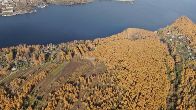 Breathtaking aerial view of Malaya's autumn forest contrasting with the serene river.