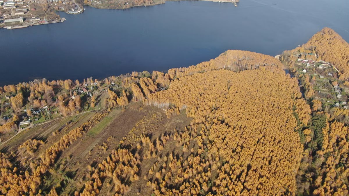 Breathtaking aerial view of Malaya's autumn forest contrasting with the serene river.